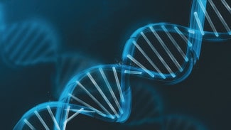 DNA integrative