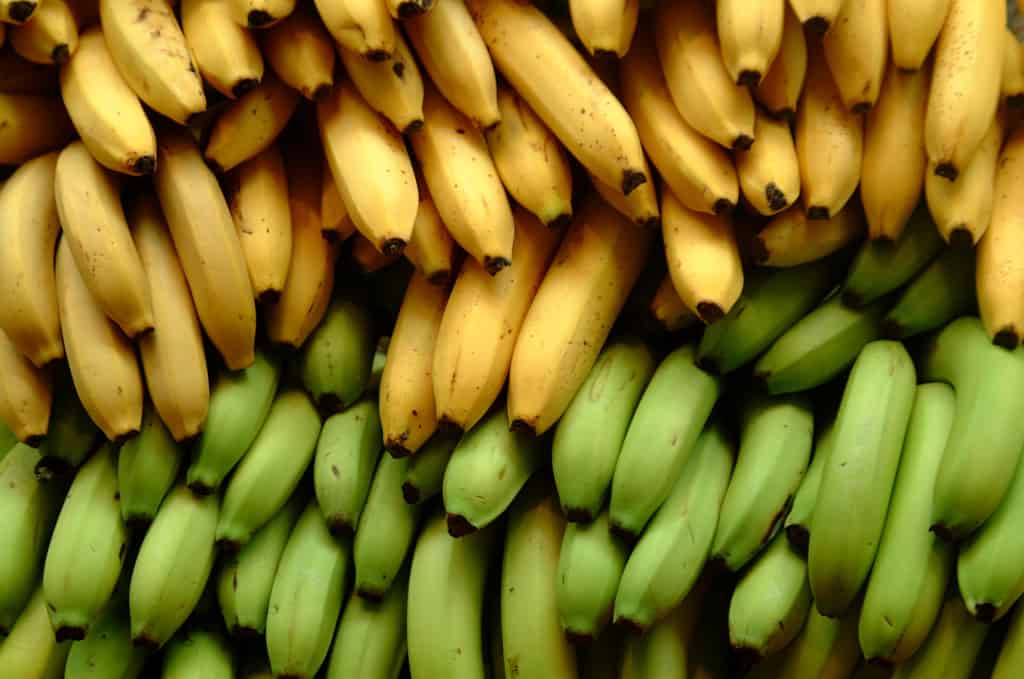 bananas stock