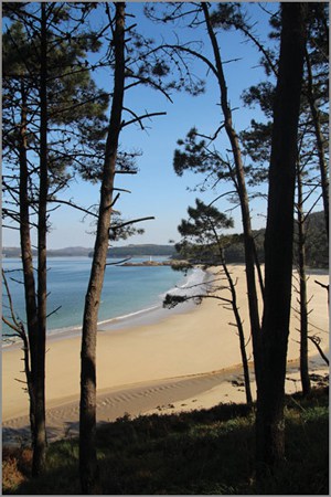 Galician beach