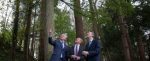 Coillte announces cashflow increase of 130% to €15.2m for 2016