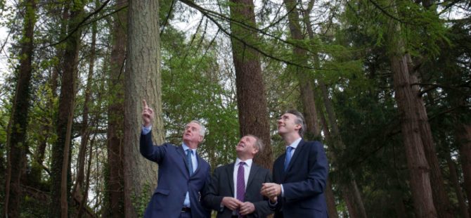 Coillte announces cash flow increase of 130% to €15.2m for 2016
