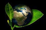 KPMG launches multi-year programme to accelerate global solutions for ESG issues