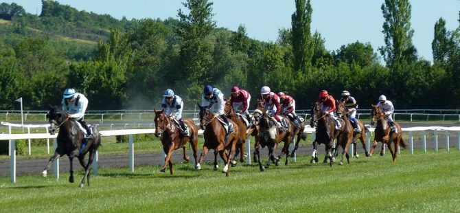 horse racing ireland