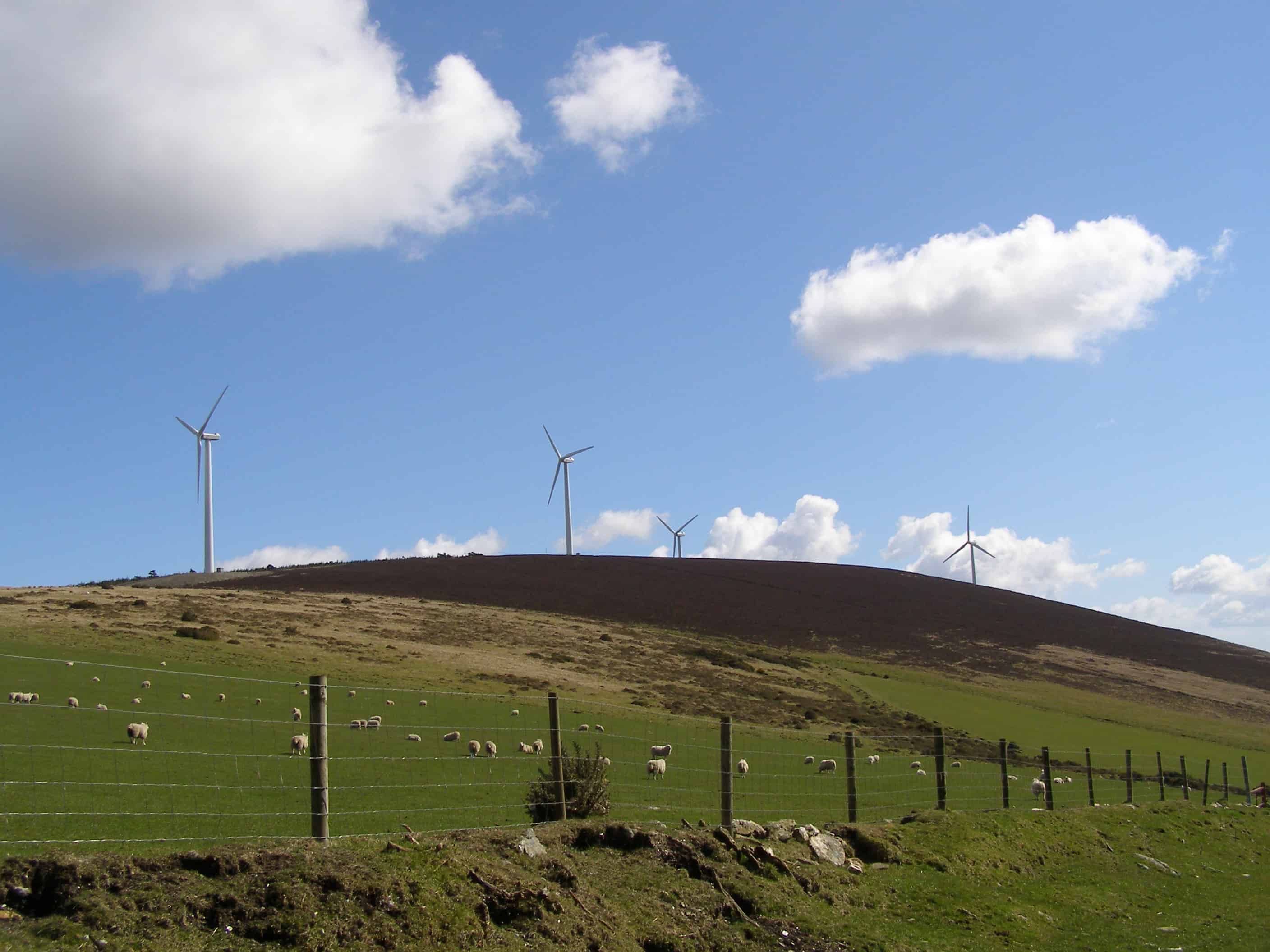 Coillte-wind-farm